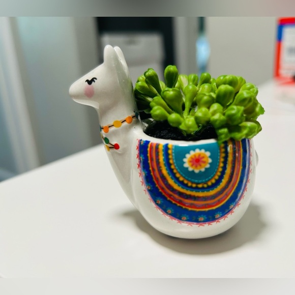 Faux Lama Succulent - Picture 1 of 4